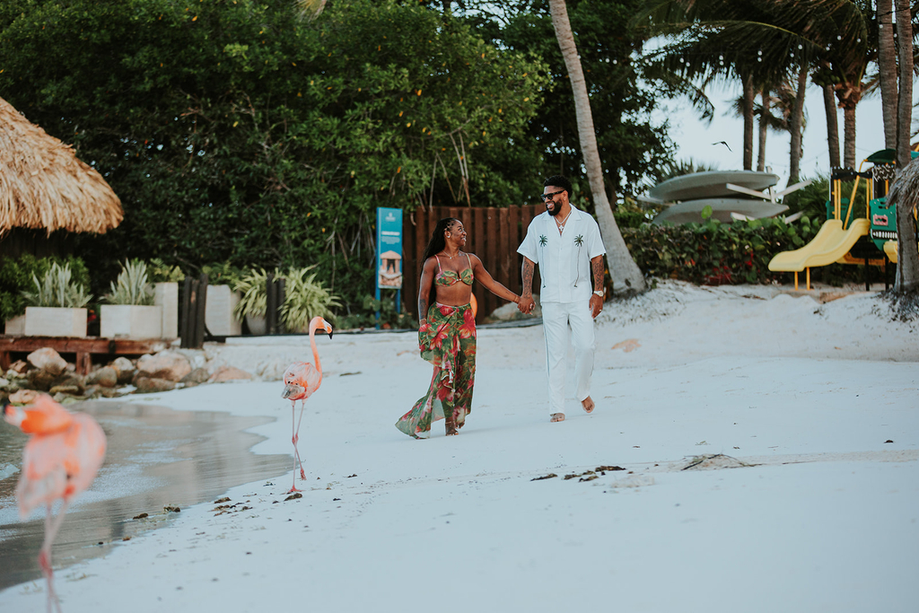 Wild flamingo on Renaissance Island Aruba
