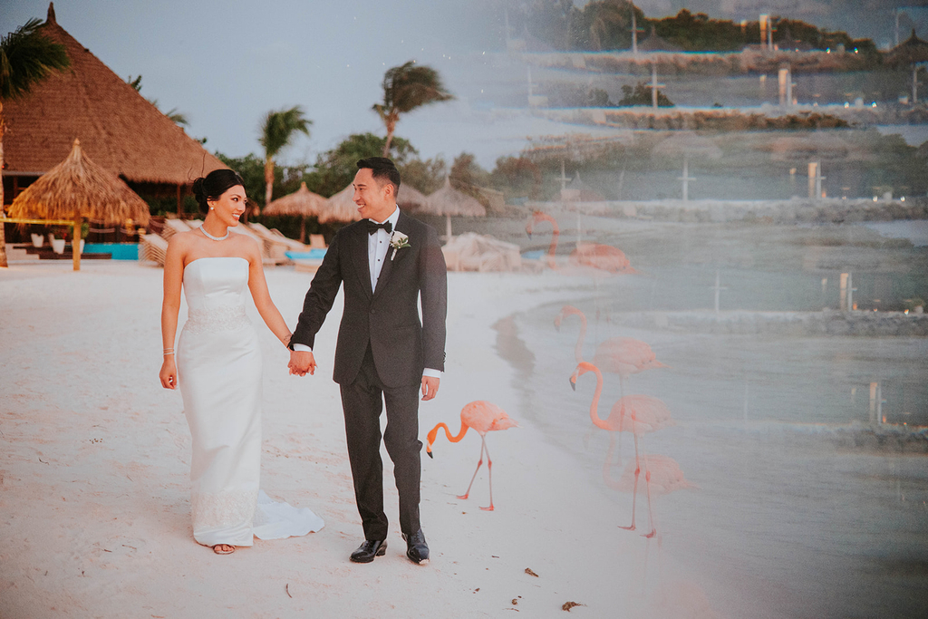 Flamingo beach photoshoot on Renaissance Island Aruba